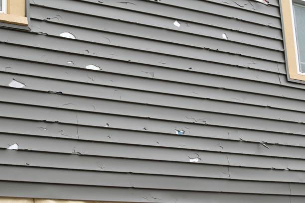 Best Custom Siding Design  in Spencerville, OH